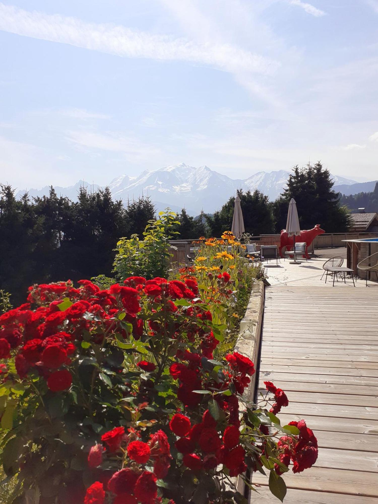 Chalet Les Rhodos Cordon Εξωτερικό φωτογραφία